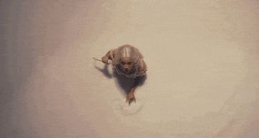 Streets GIF by Doja Cat