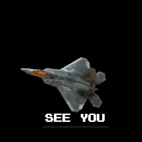 FIDAE GIF