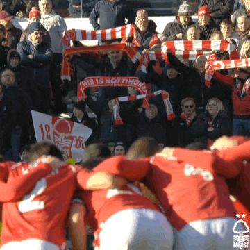 Football Celebration GIF by Nottingham Forest