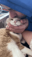 200.gif?cid=fc005b08caec45843569cd2eeef74f99857a7de64c366a2f&rid=200.gif&ct=g