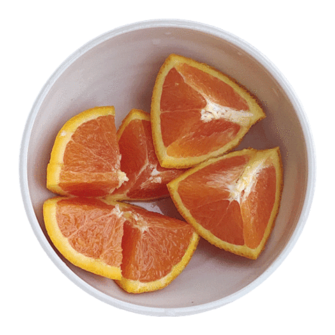 Diana Luong Ceramics Sticker