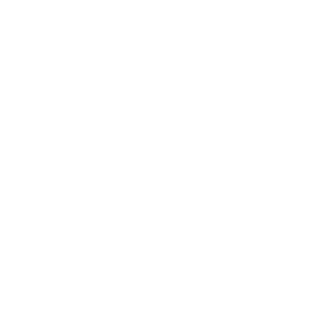 Festival House Sticker by Lion