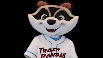 Raccoon Thumbs Down GIF by Rocket City Trash Pandas
