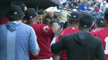 Baseball Bugga Bass GIF by Great Lakes Loons