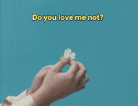 He Is Not In Love Gifs Get The Best Gif On Giphy He Is Not In Love Gifs Get The Best Gif On Giphy