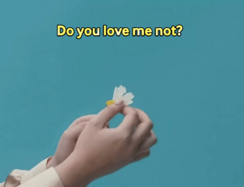 Flower Love Gif By Stephanie Poetri Find Share On Giphy