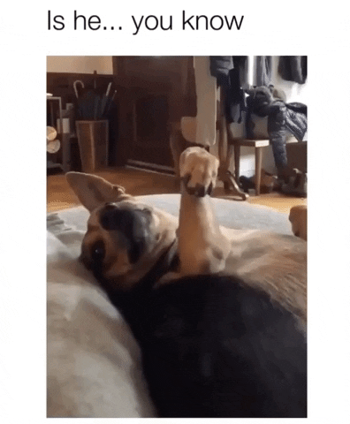 Limp Wrist GIF