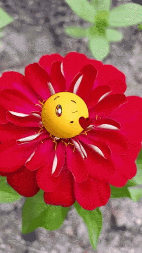 giphy.gif?cid=ecf05e47tmqolk2le0wpl0r697