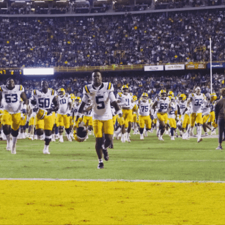College Football Win GIF by LSU Tigers