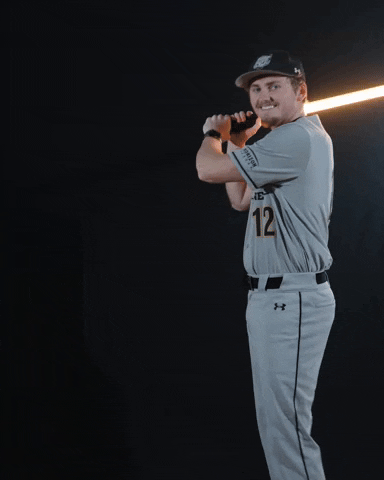 Tyler Nelson Baseball GIF by Purdue Fort Wayne Athletics