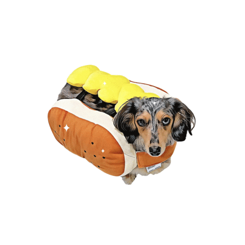 Brad Hunt Sticker