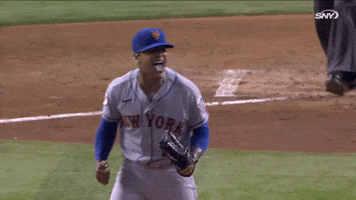 Yell New York Mets GIF by SNY
