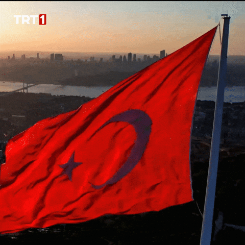 19 Mayıs Flag GIF by TRT
