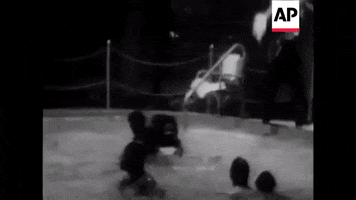 Pool GIF
