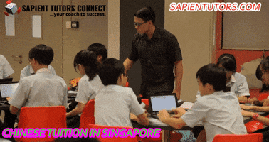 Tuition Assignment Singapore GIF