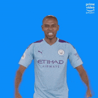 city-epl-fernandinho-UtQLaBc6yGcNpu7lNN
