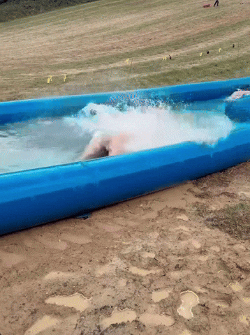 Demi Donnelly GIF