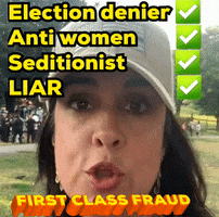 First Class Fraud GIF