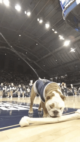 Happy Butler Basketball GIF by Butler University