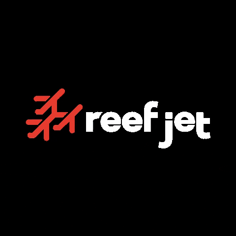 Reefjet caribbean puntacana samana reefjet GIF