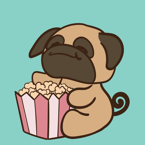 Pudge The Pug Gifs Get The Best Gif On Giphy Pudge The Pug Gifs Get The Best Gif On Giphy
