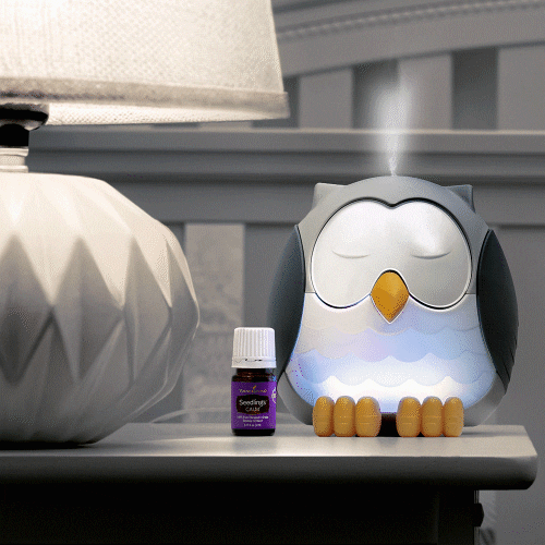 Diffusing Essential Oil GIF by Young Living Essential Oils - Find & Share on GIPHY