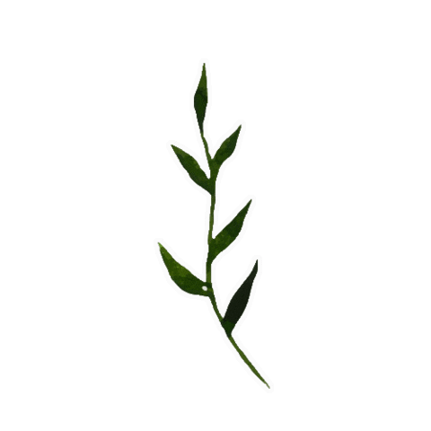 Summer Sticker