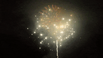 Bibou GIF