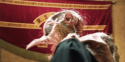 the witches GIF