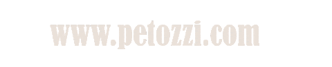 Denbosch Sticker by Petozzi