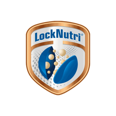 FrisoIndonesia Sticker