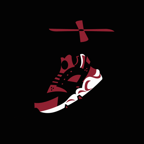 Nike Flying GIF by Laceitapp