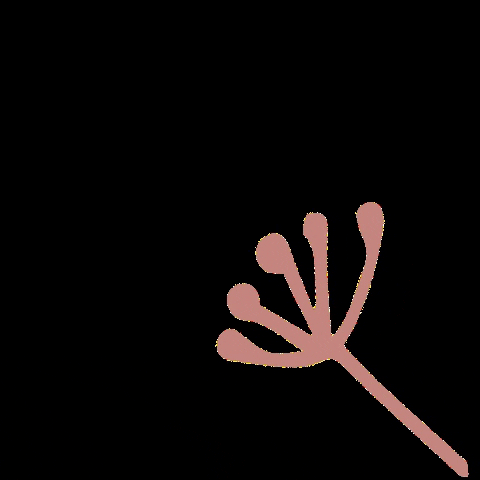 Pitigaïa, l'éco-puériculture GIF