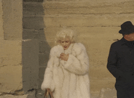 Fur GIF