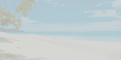 Top Canada E Visa Online GIF