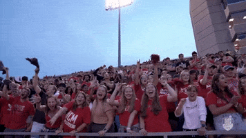 Happy Football GIF by University of Central Missouri