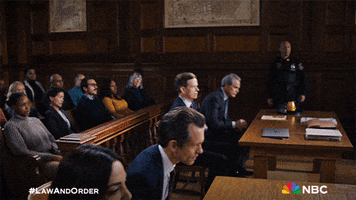 Stand Up Nbc GIF by Law & Order