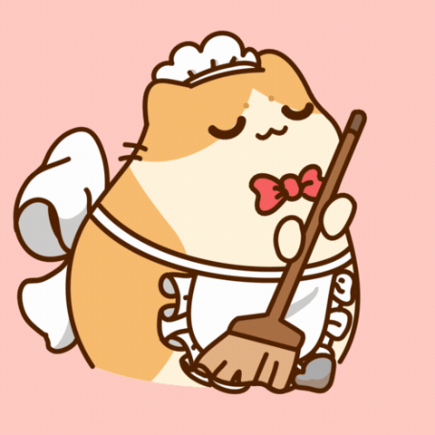 Tidy Up Clean House GIF by Bichi Mao