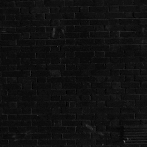 Black And White Wall GIF by Feeder