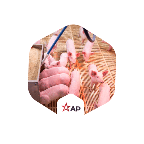 Ap Sticker by GSI Brasil