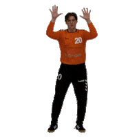 Goalkeeper Parade Sticker by Absolut Handball