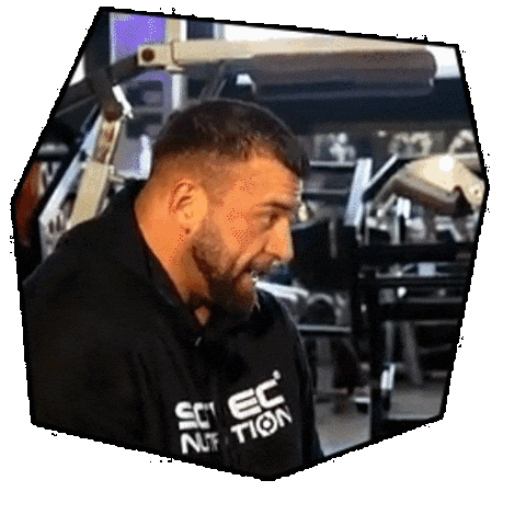 Bereczki Sticker by Scitec Nutrition