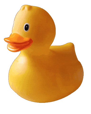 Badeend Sticker by Zeilschool Op de Helling