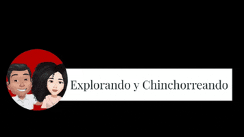 Explorando y Chinchorreando GIF
