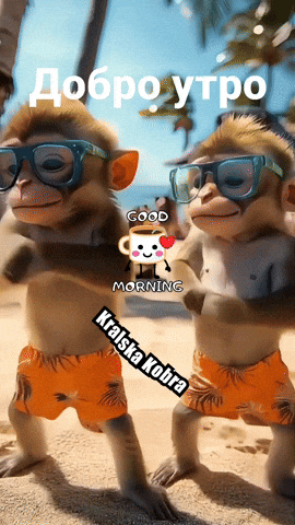 Kralska Kobra GIF