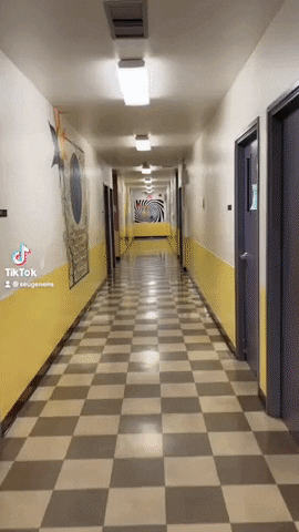 South Eugene High School GIF