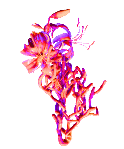 TreesomeFestival Sticker