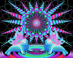 Deep Space Violet GIF