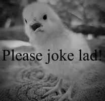 Dont Even Joke Lad GIF