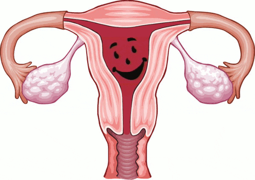 Menstruation GIF - Find & Share on GIPHY